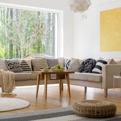 house-with-view-on-forest-PBZMTD5.jpg