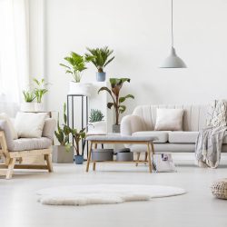 spacious-floral-living-room-P7RS4N5.jpg